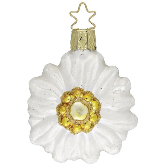 Ornament - Edelweiss Blume