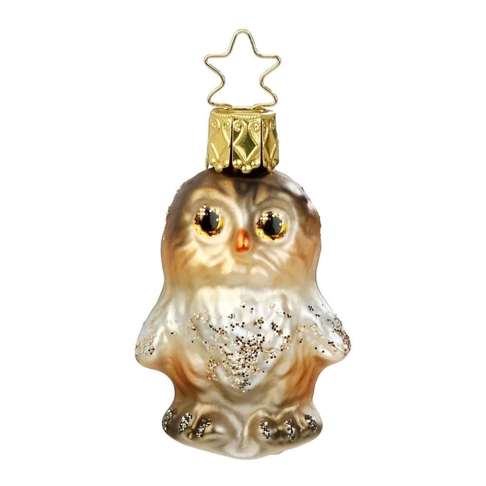 Ornament - Whooo? 2.4”
