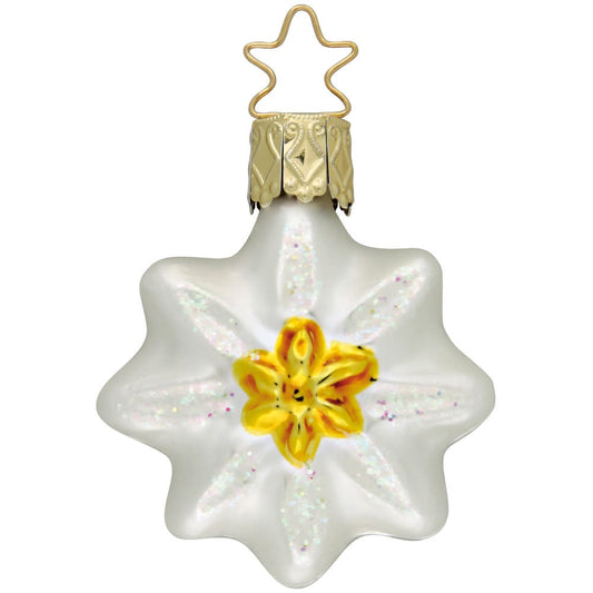 Ornament - Edelweiss Stern
