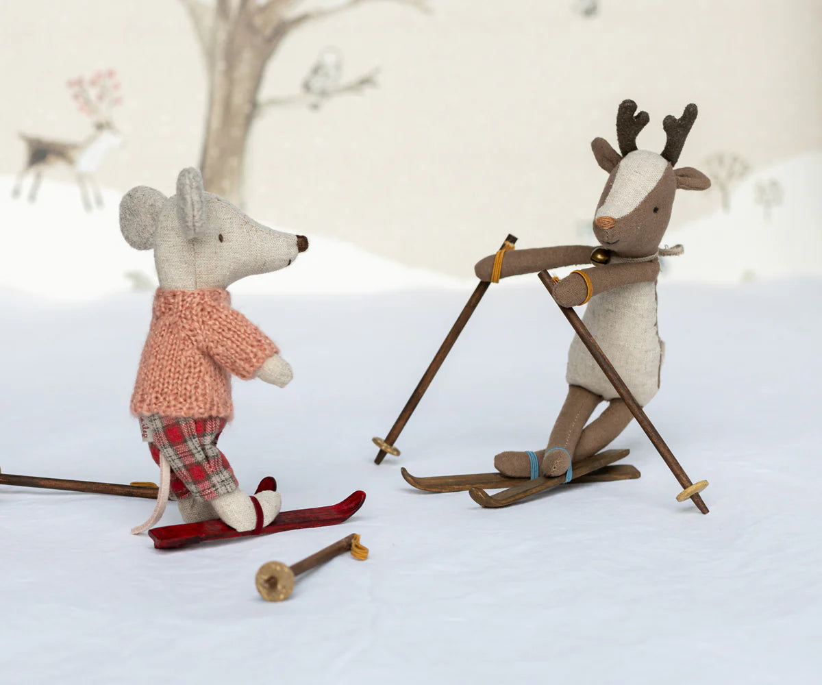 Big Brother & Sister - Ski & Ski Poles