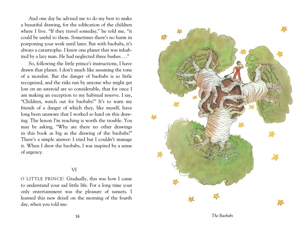 Book - The Little Prince (Deluxe Edition)