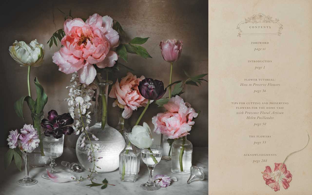 Book - Flowers of Provence by Jamie Beck