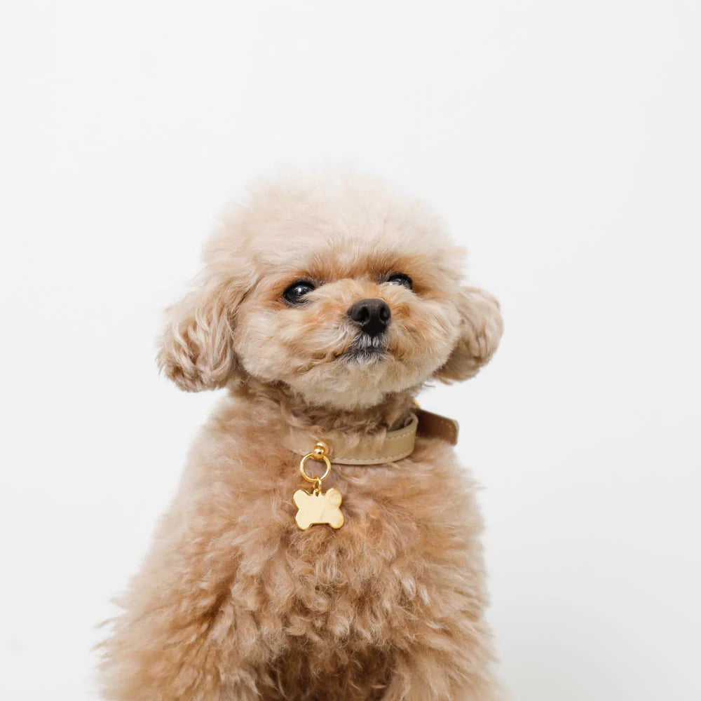 Leather Dog Collar - Beige with Bone Charm