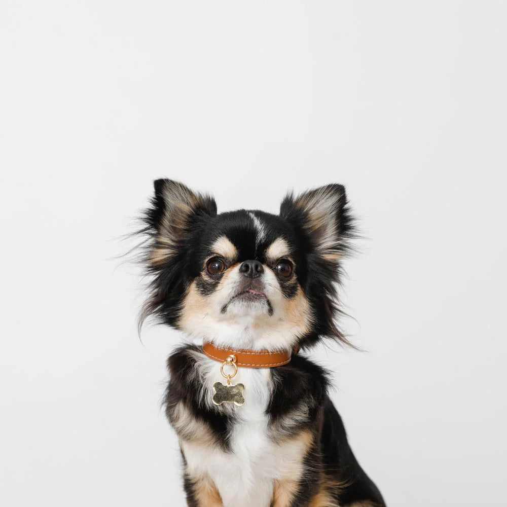 Leather Dog Collar - Camel with Bone Charm