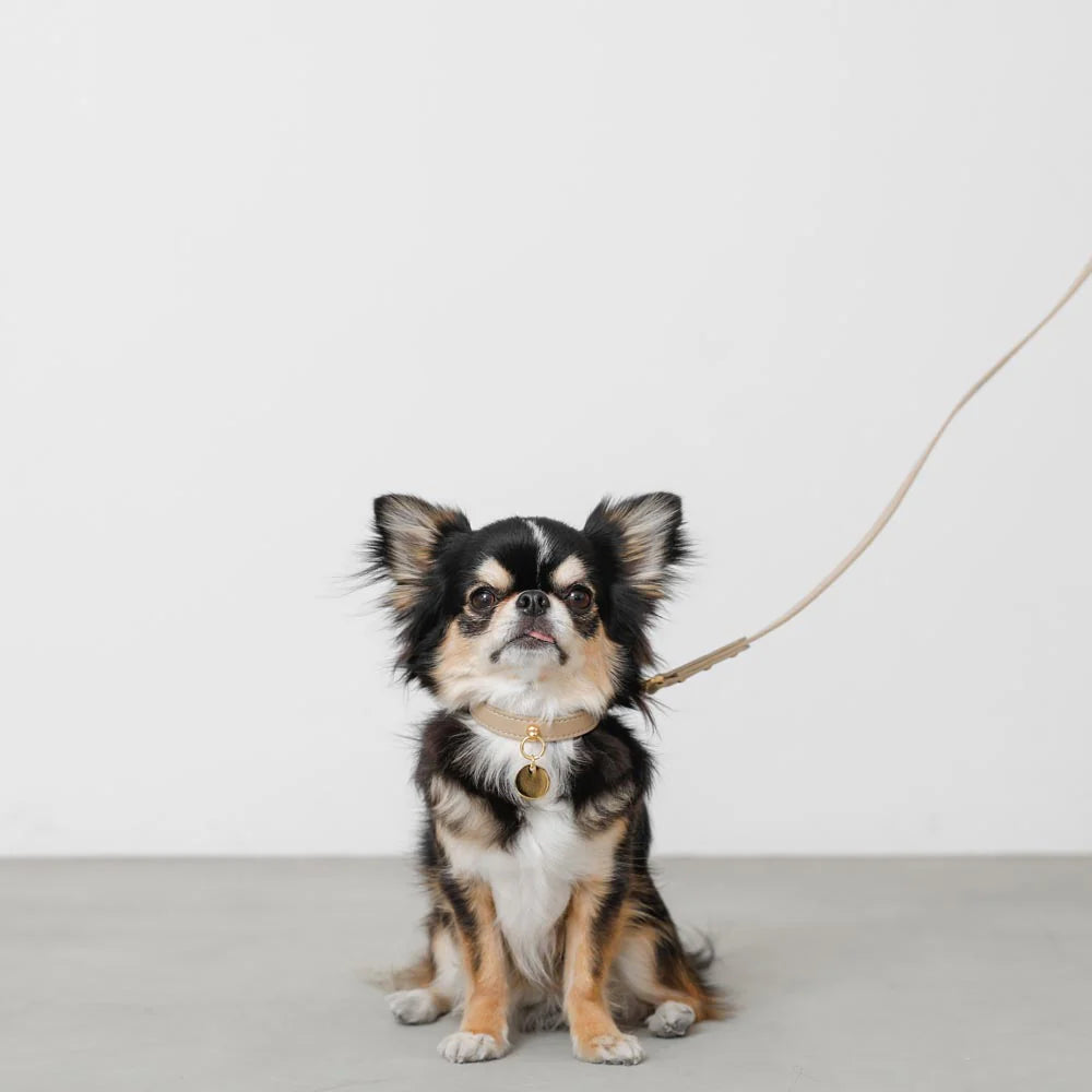 Leather Dog Lead - Beige