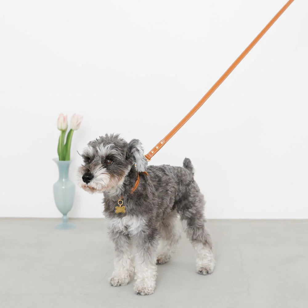 Leather Dog Lead - Camel