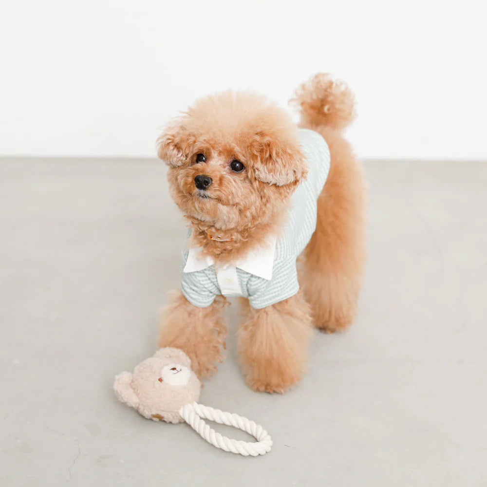 Dog Toy - Plush Bear with Rope