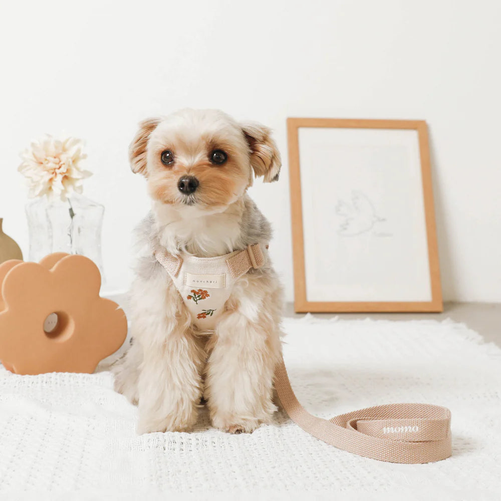 Dog Harness & Lead Set - Embroidered Flowers Small