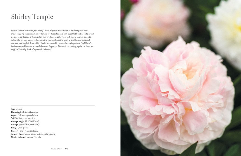 Book - Peonies