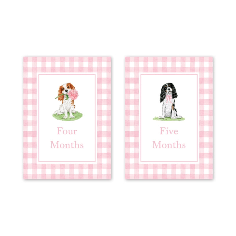 Card Milestone Set - Cavelier Garden Pink