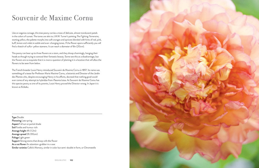 Book - Peonies