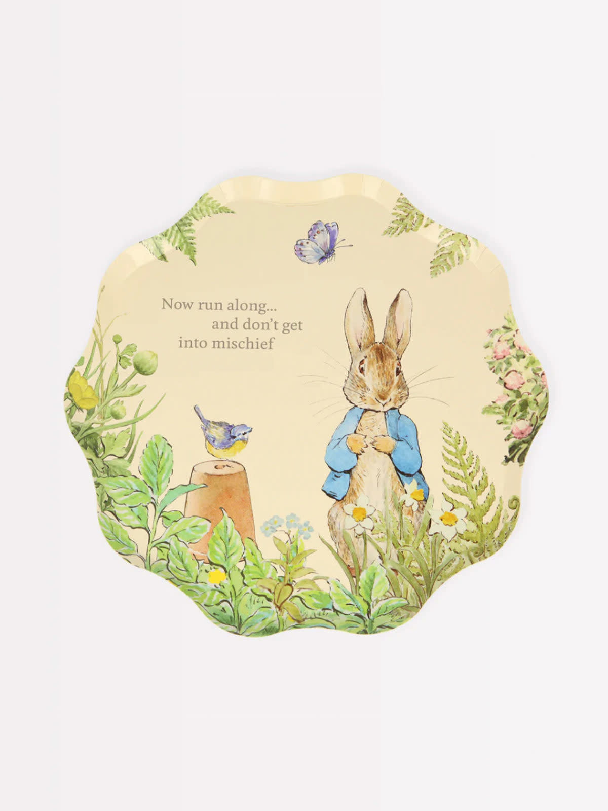 Peter Rabbit - Paper Side Plates