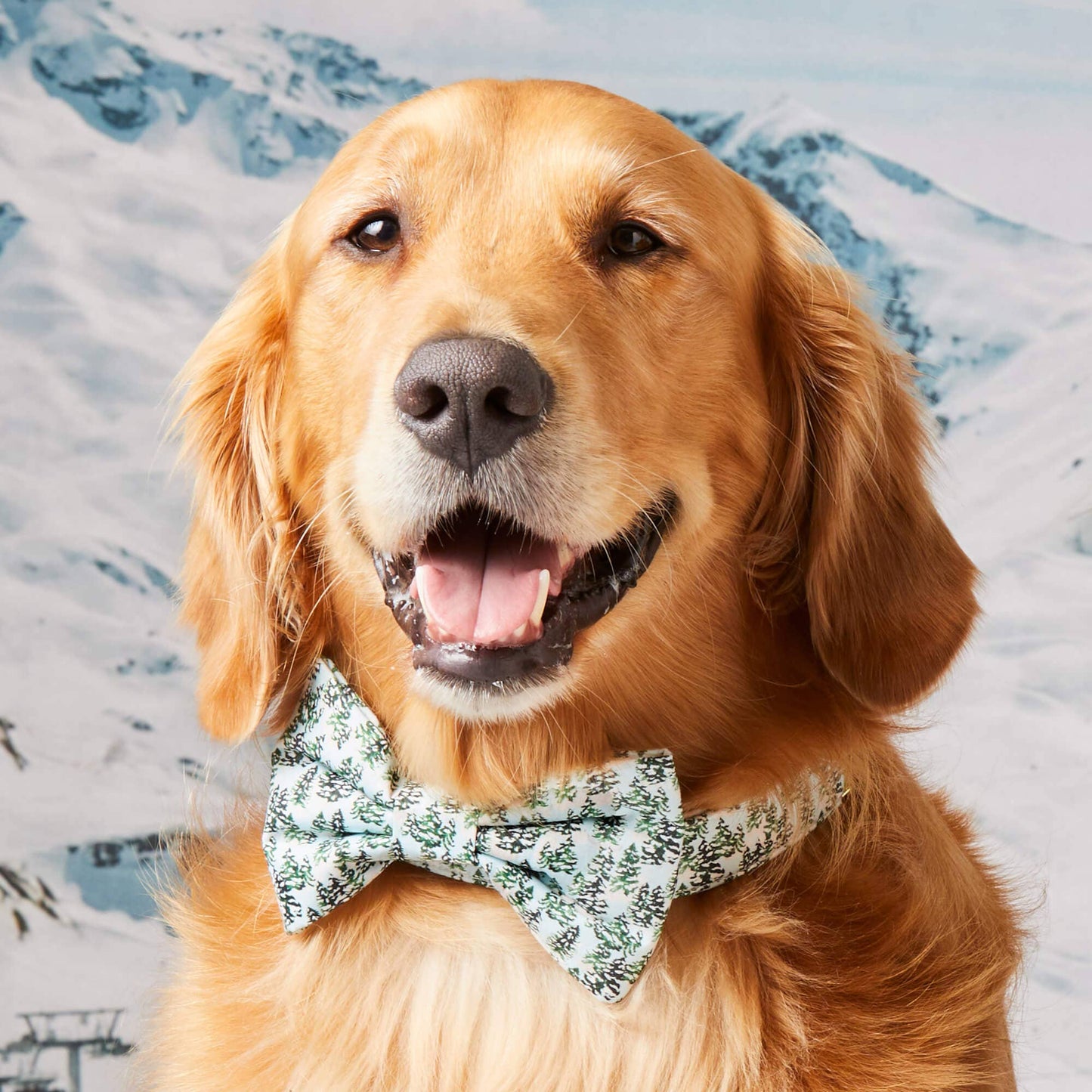 Snowy Pines - Bow Tie