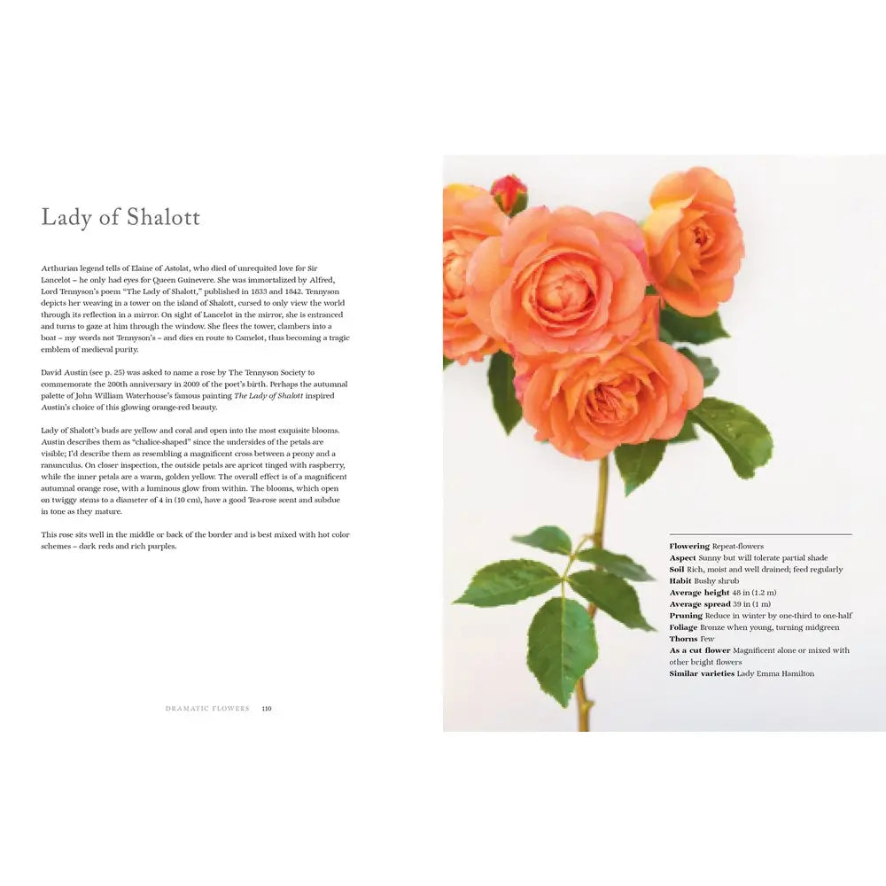 Book - Vintage Roses