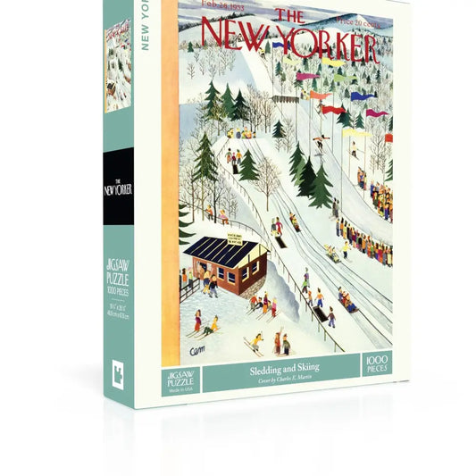Puzzle - Sledding and Skiing