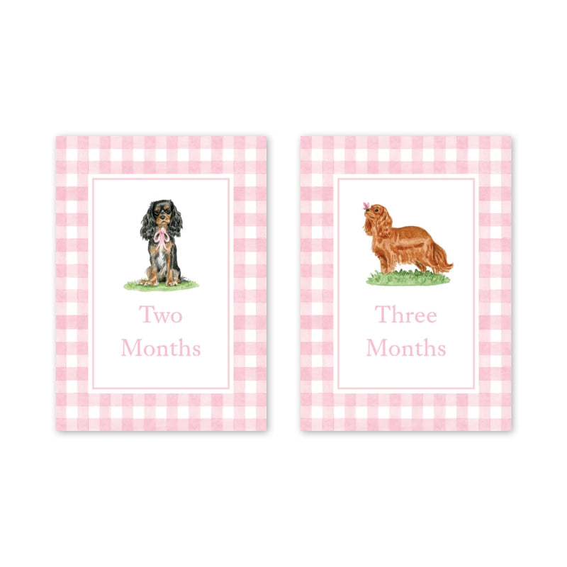 Card Milestone Set - Cavelier Garden Pink