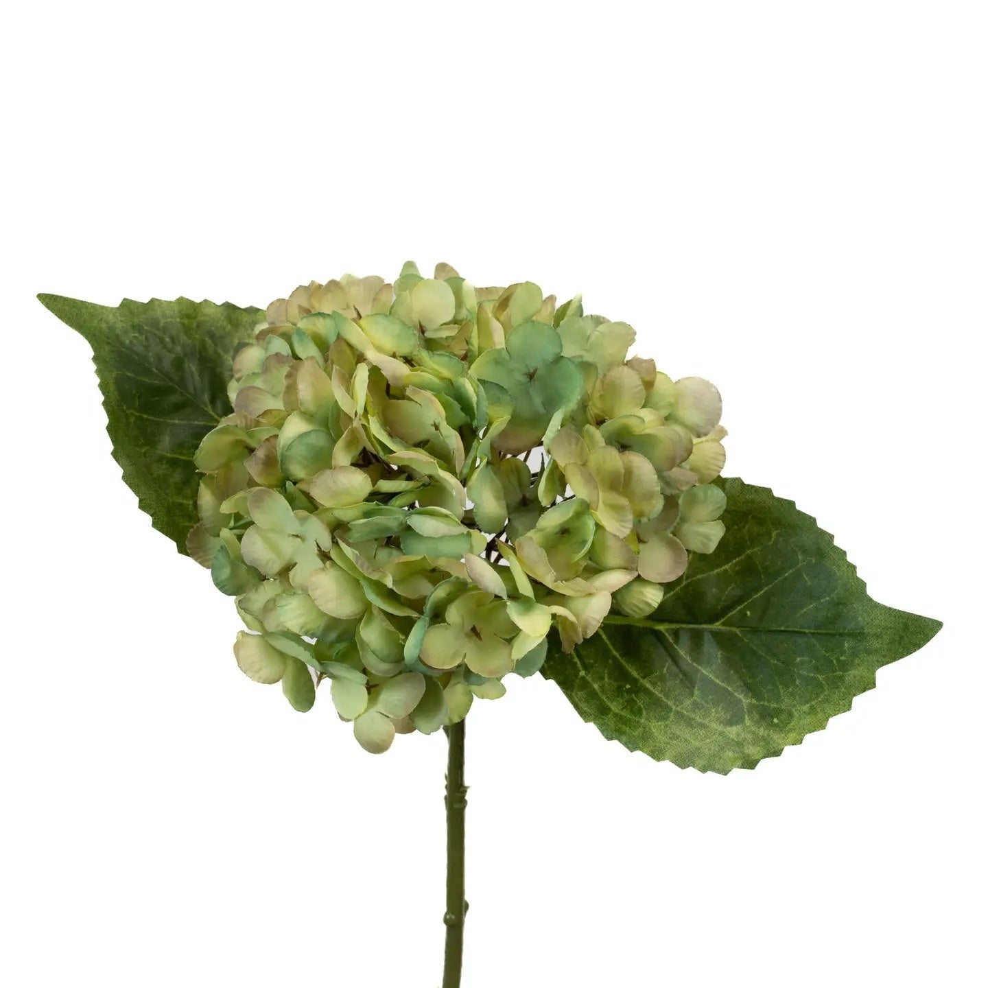 Floral Stem - Hydrangea Green 13"