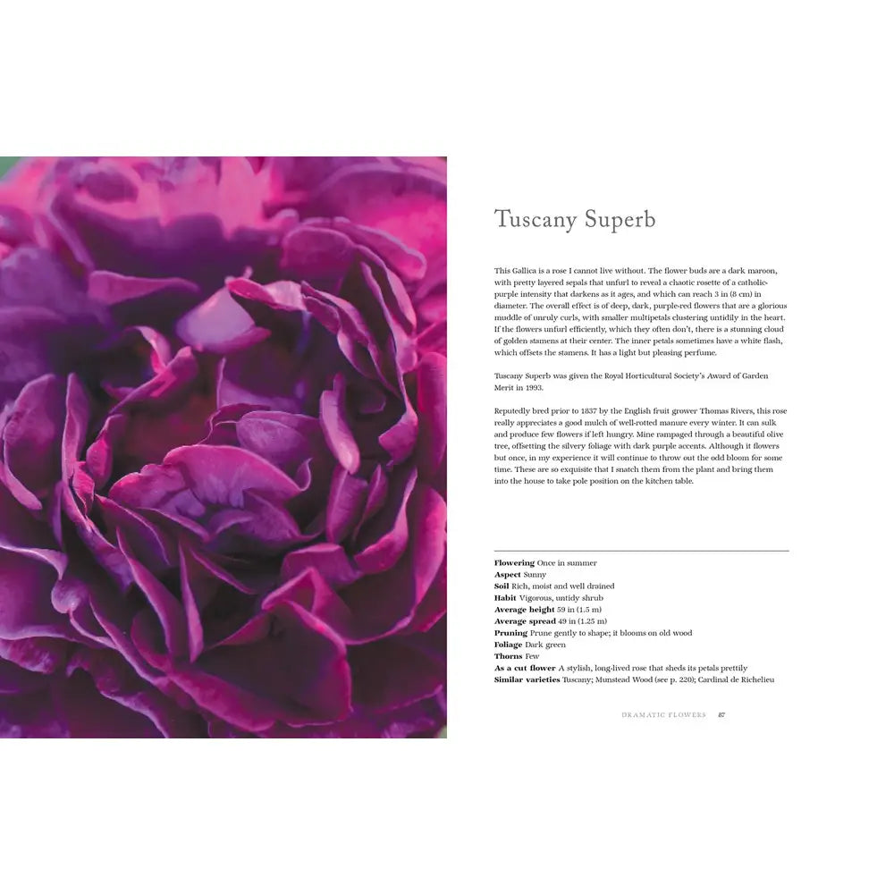 Book - Vintage Roses