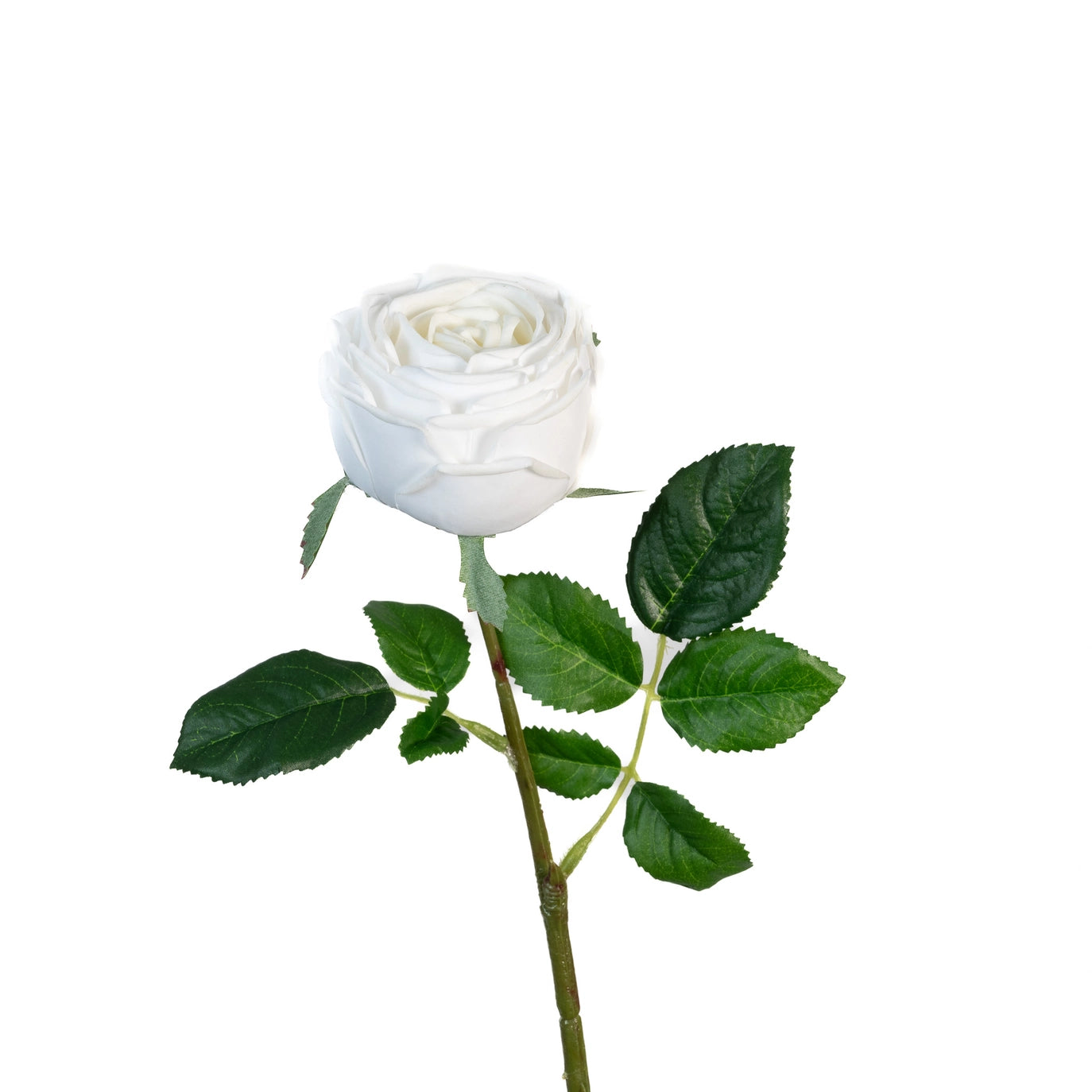 Floral Stem - Garden Rose White 17"