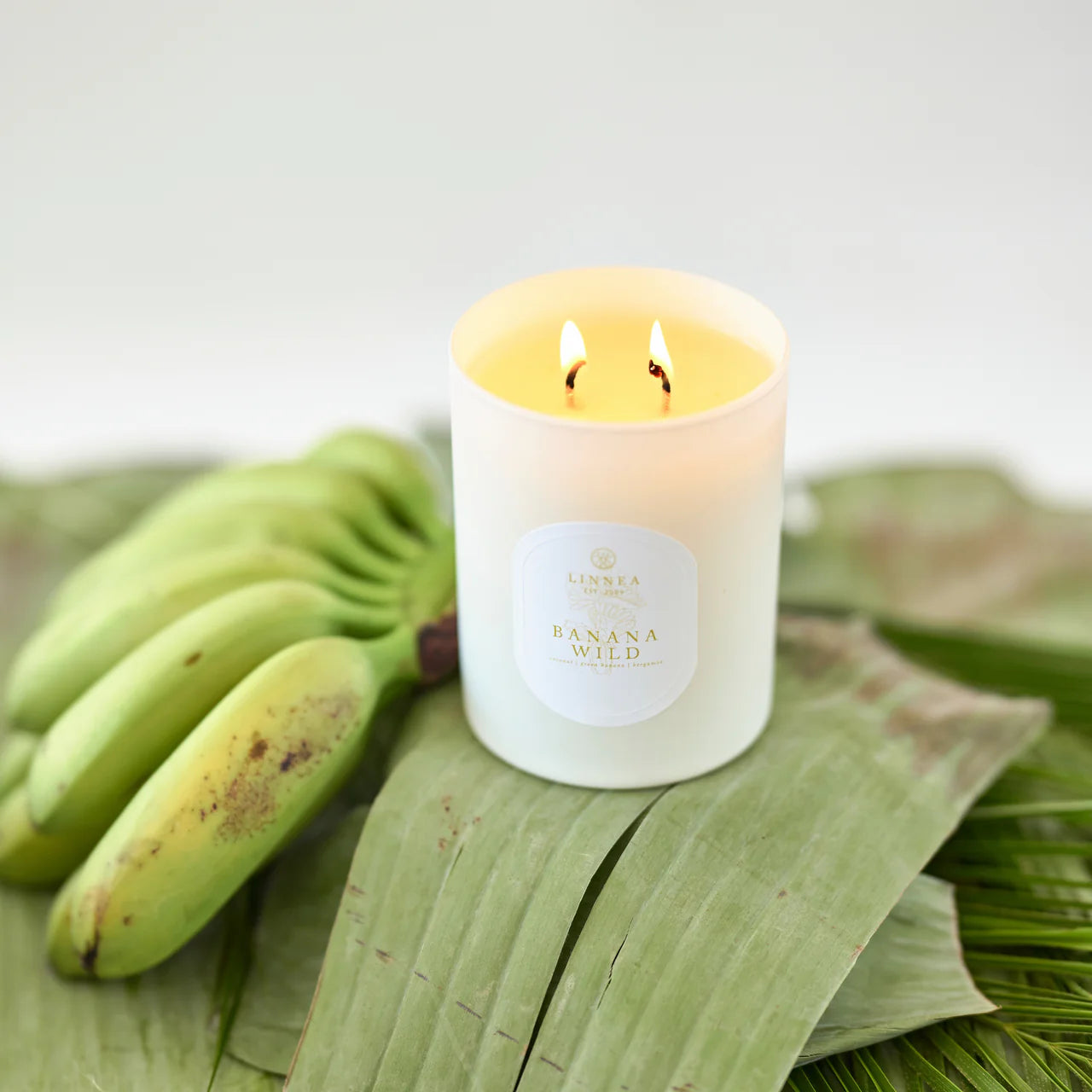 Candle - Escape Banana Wild