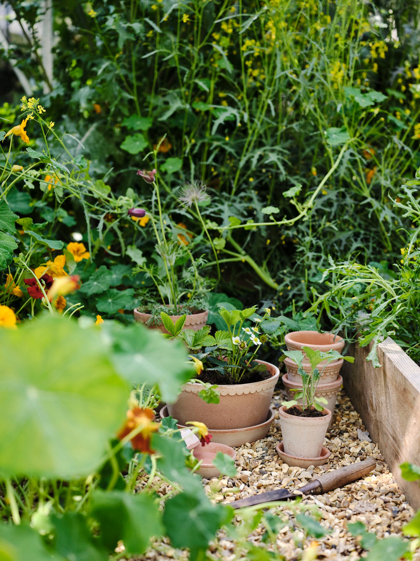 Garden Pot Helena - Rosa