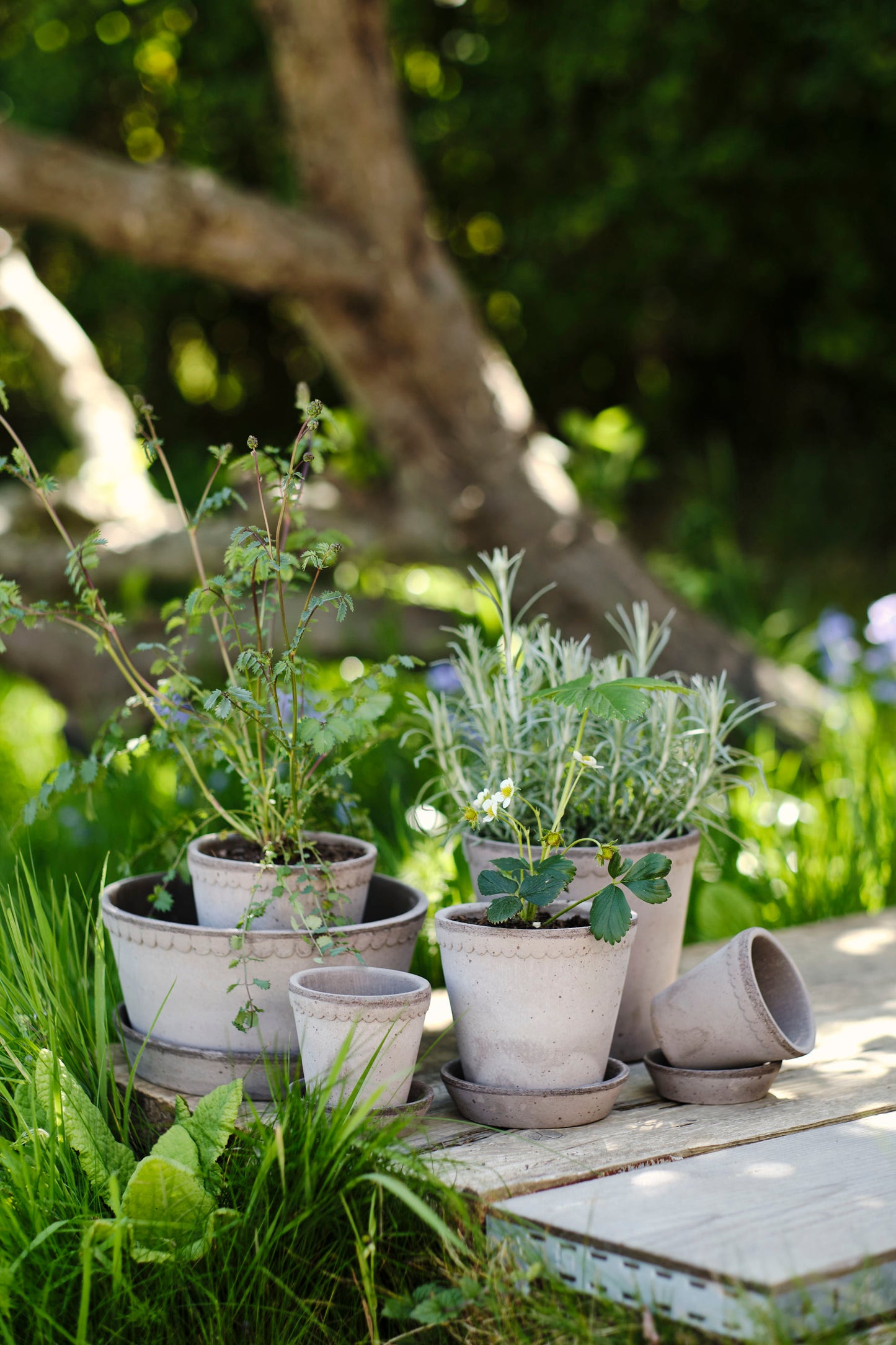 Garden Pot Helena - Grey