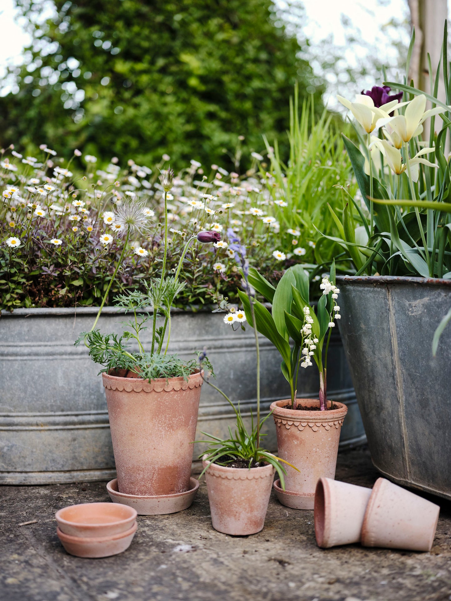 Garden Pot Helena - Rosa