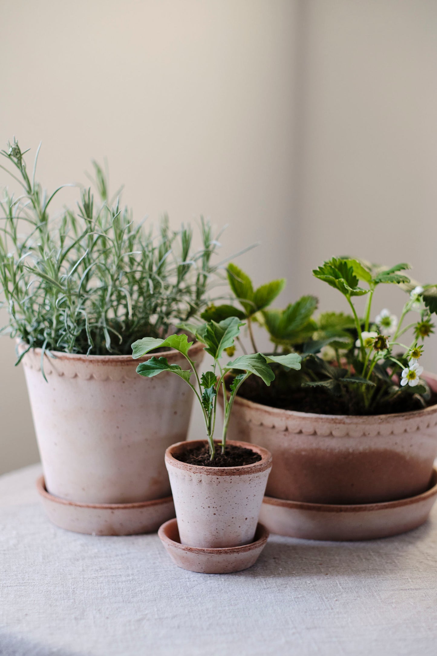 Garden Pot Helena - Rosa