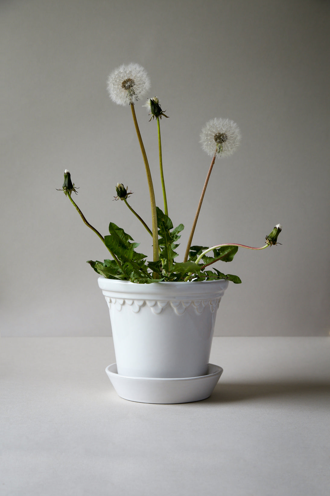 Garden Pot Copenhagen - Glazed Mineral White
