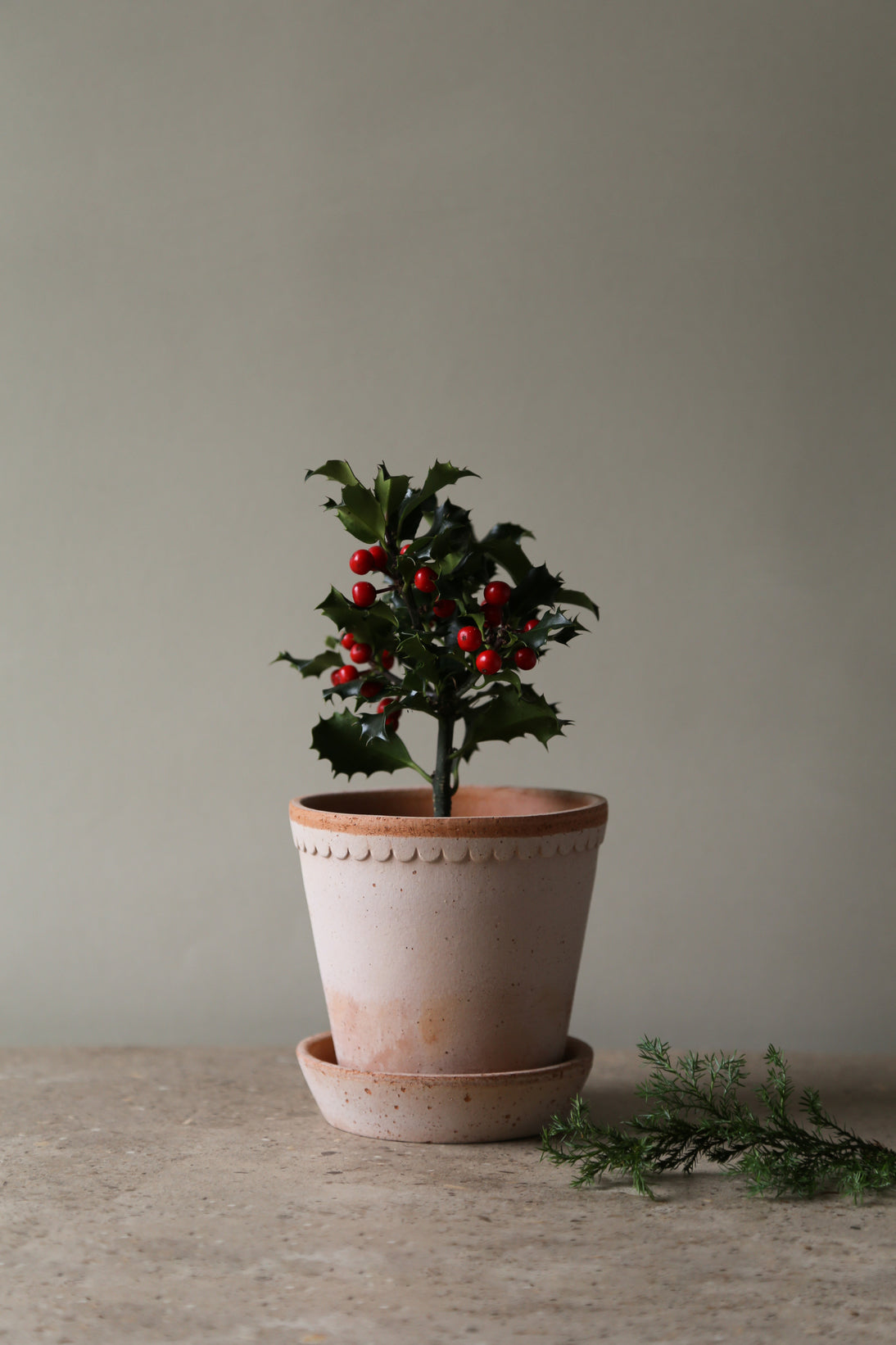 Garden Pot Helena - Rosa