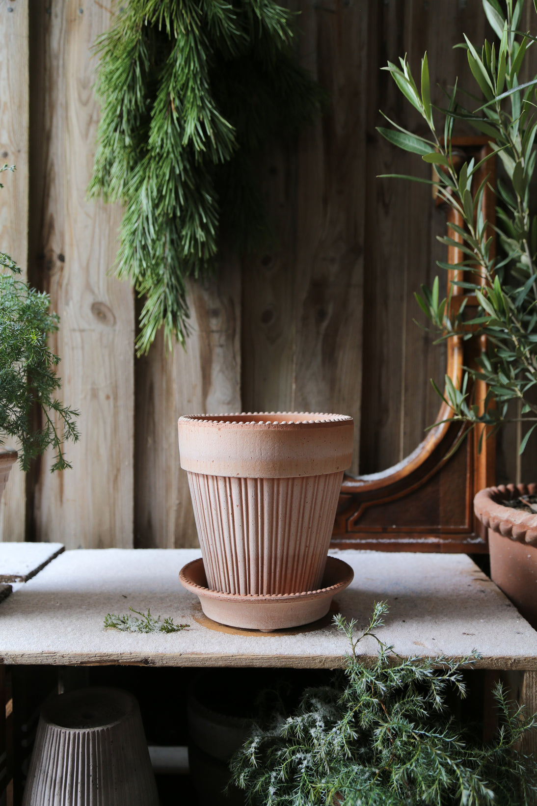 Garden Pot Simona - Rosa