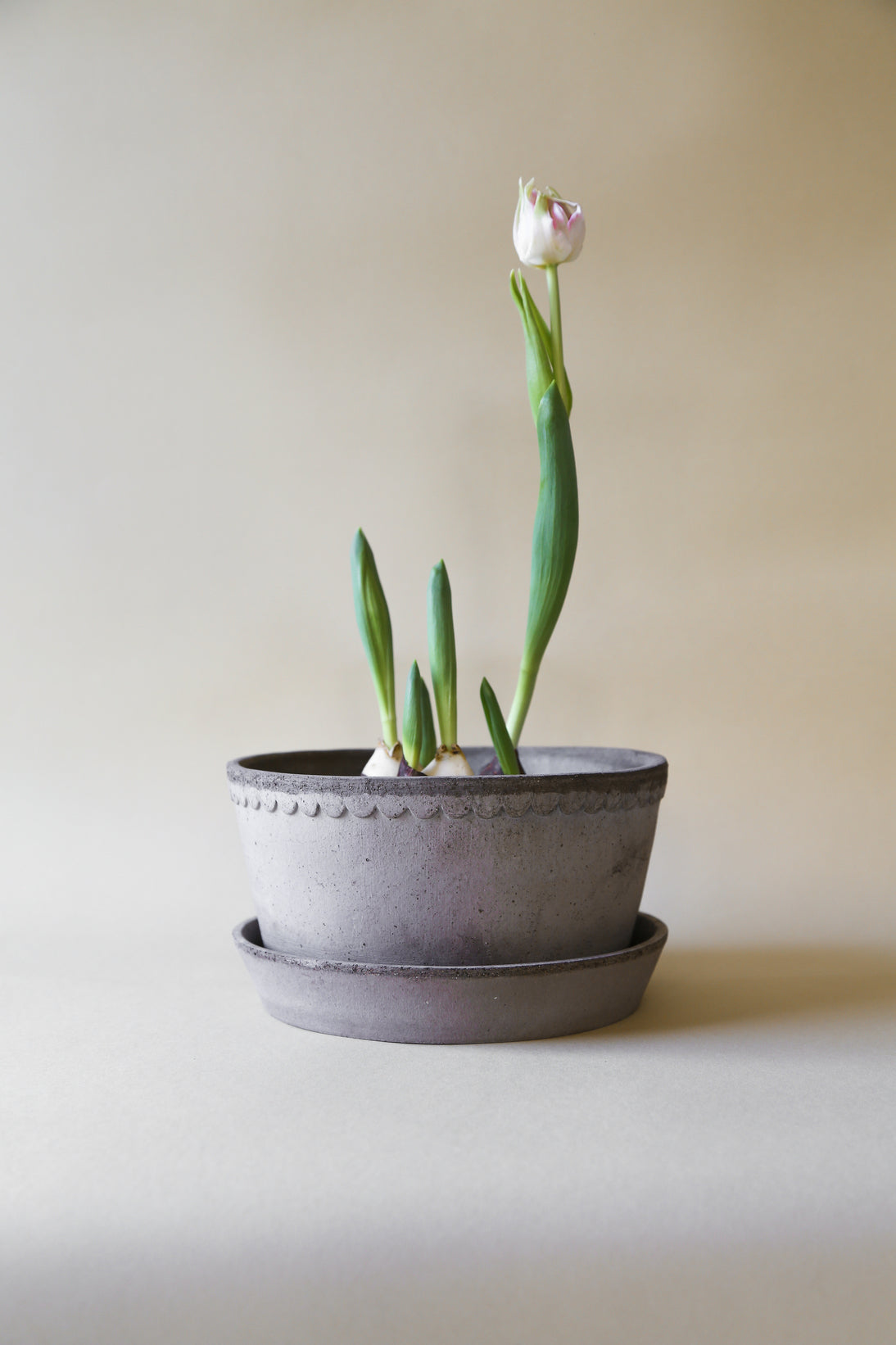 Garden Pot Helena - Grey