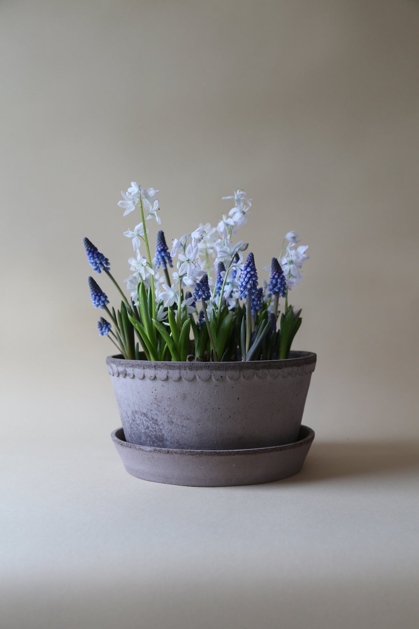 Garden Pot Helena - Grey
