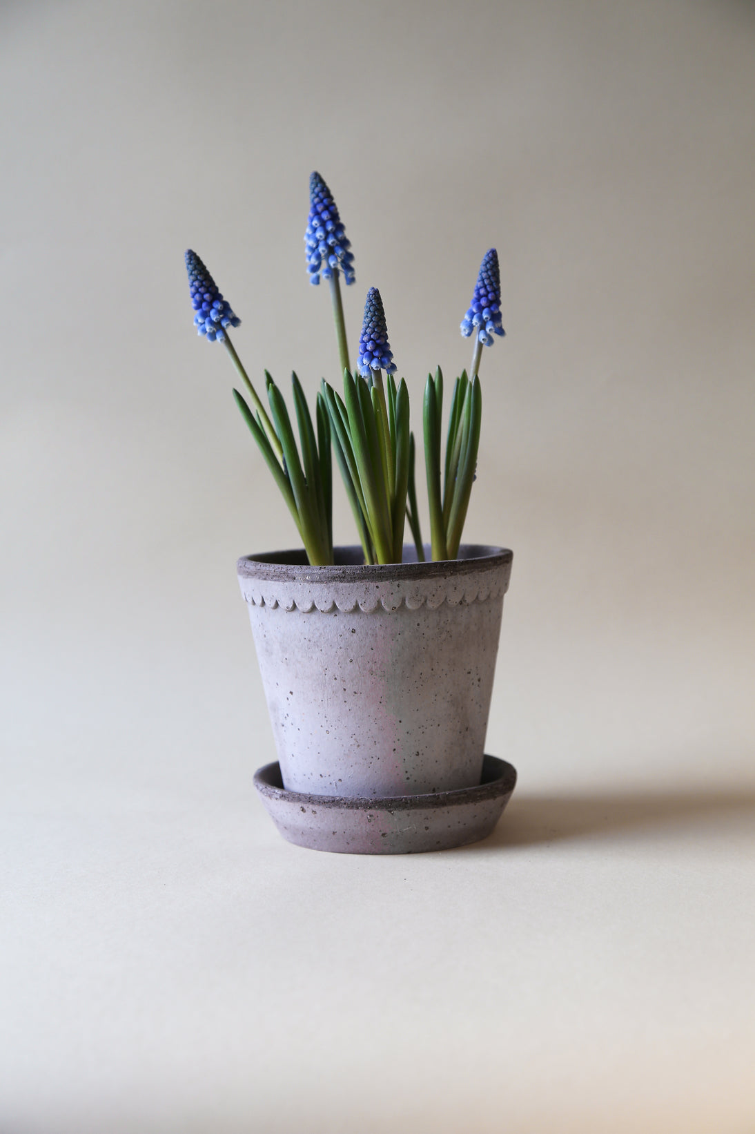 Garden Pot Helena - Grey