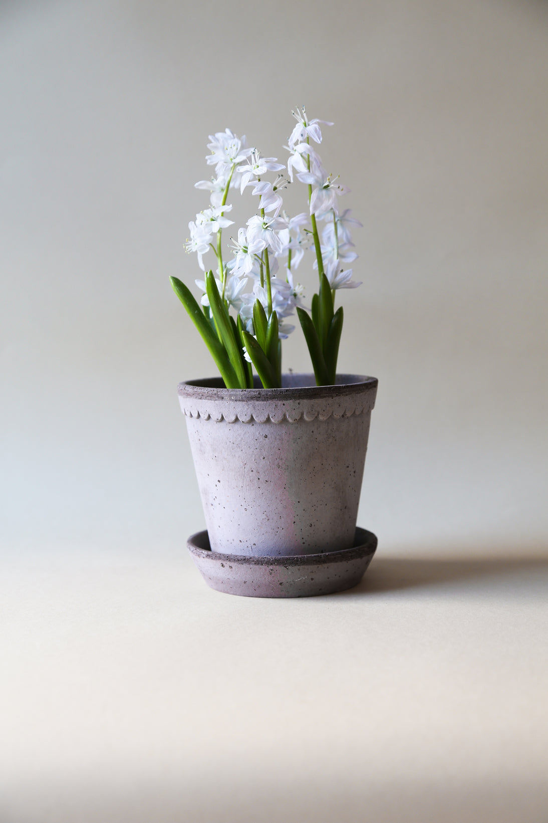 Garden Pot Helena - Grey