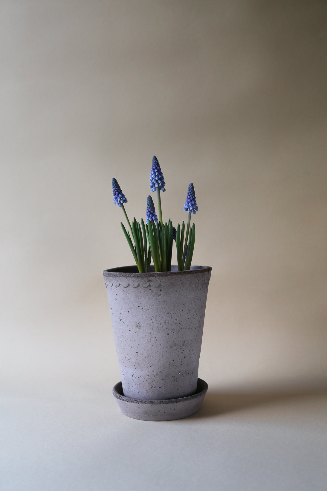 Garden Pot Helena - Grey