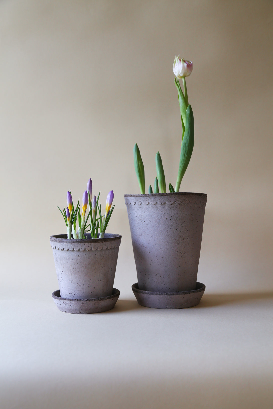 Garden Pot Helena - Grey
