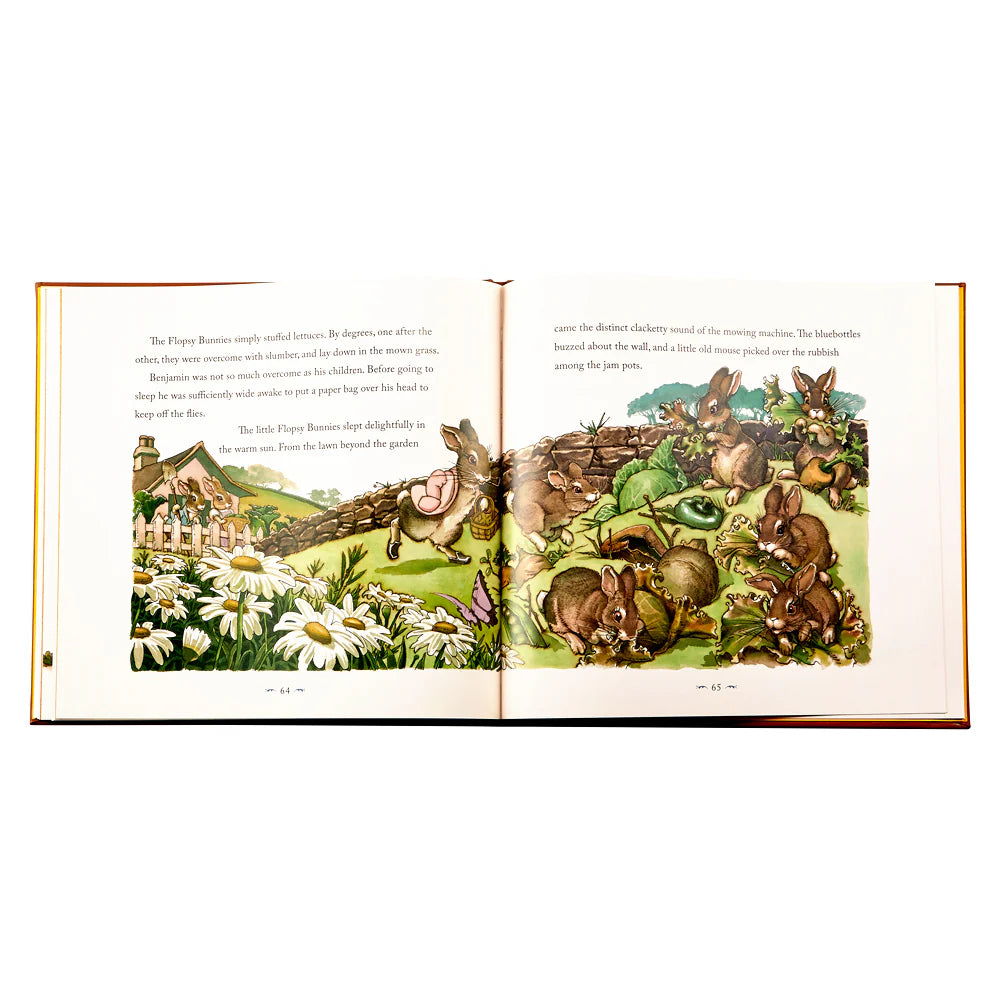 Book - The Classic Tale of Peter Rabbit (Leather Bound Edition)