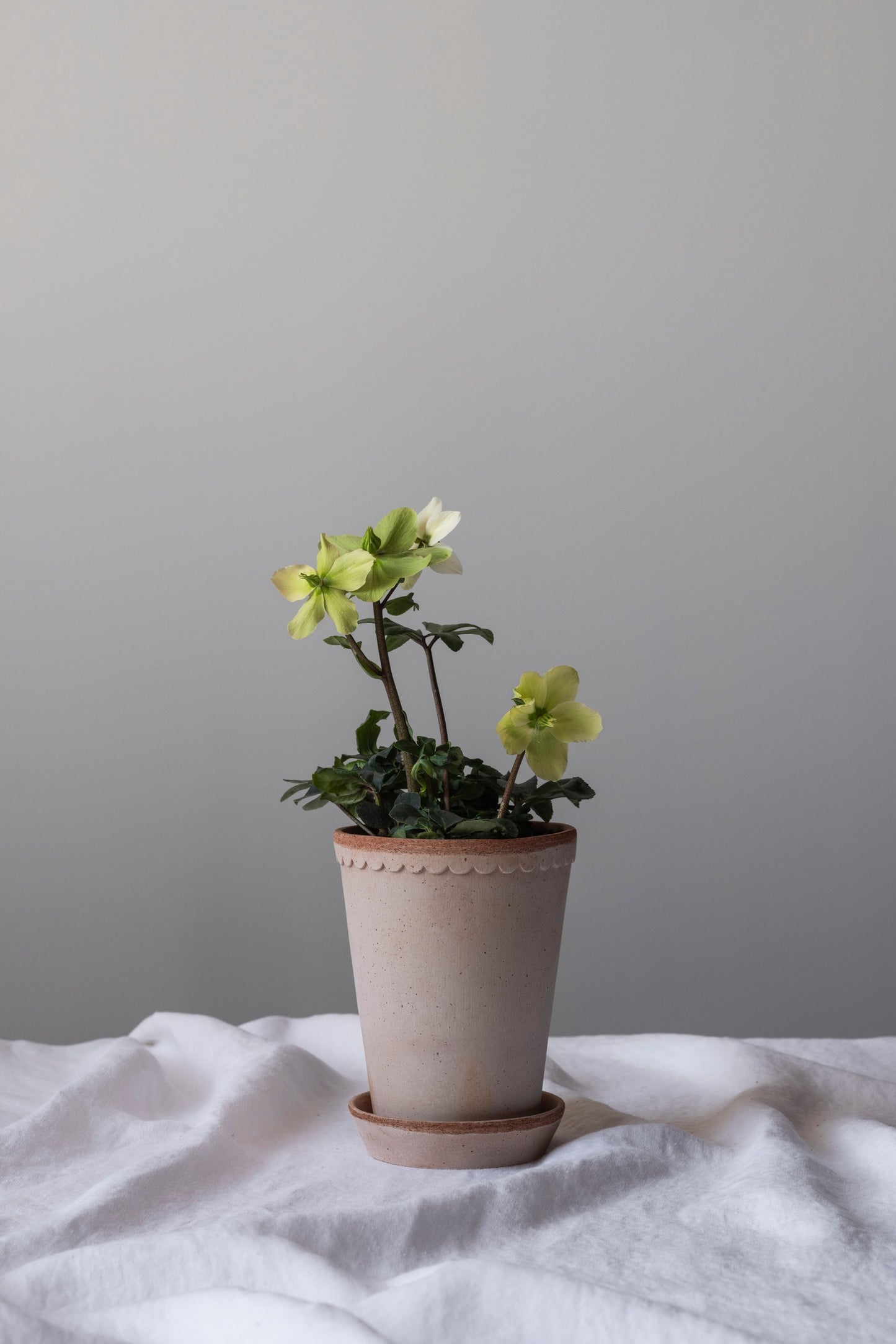 Garden Pot Helena - Rosa