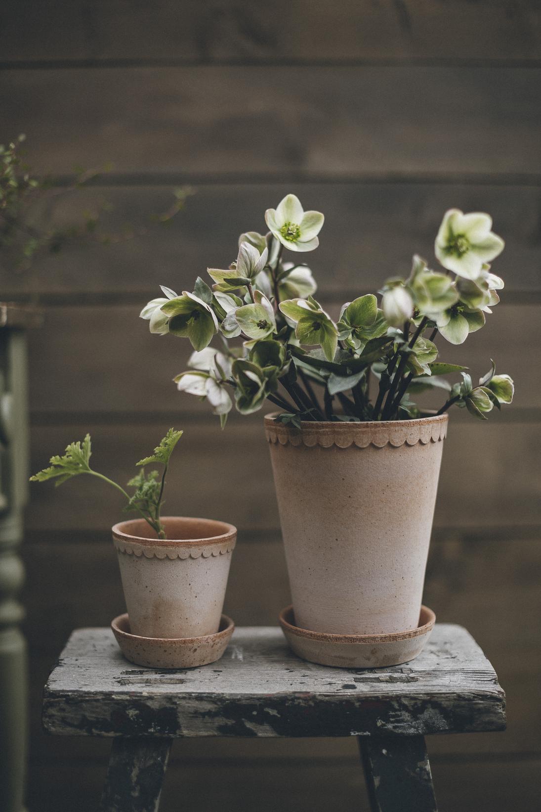Garden Pot Helena - Rosa
