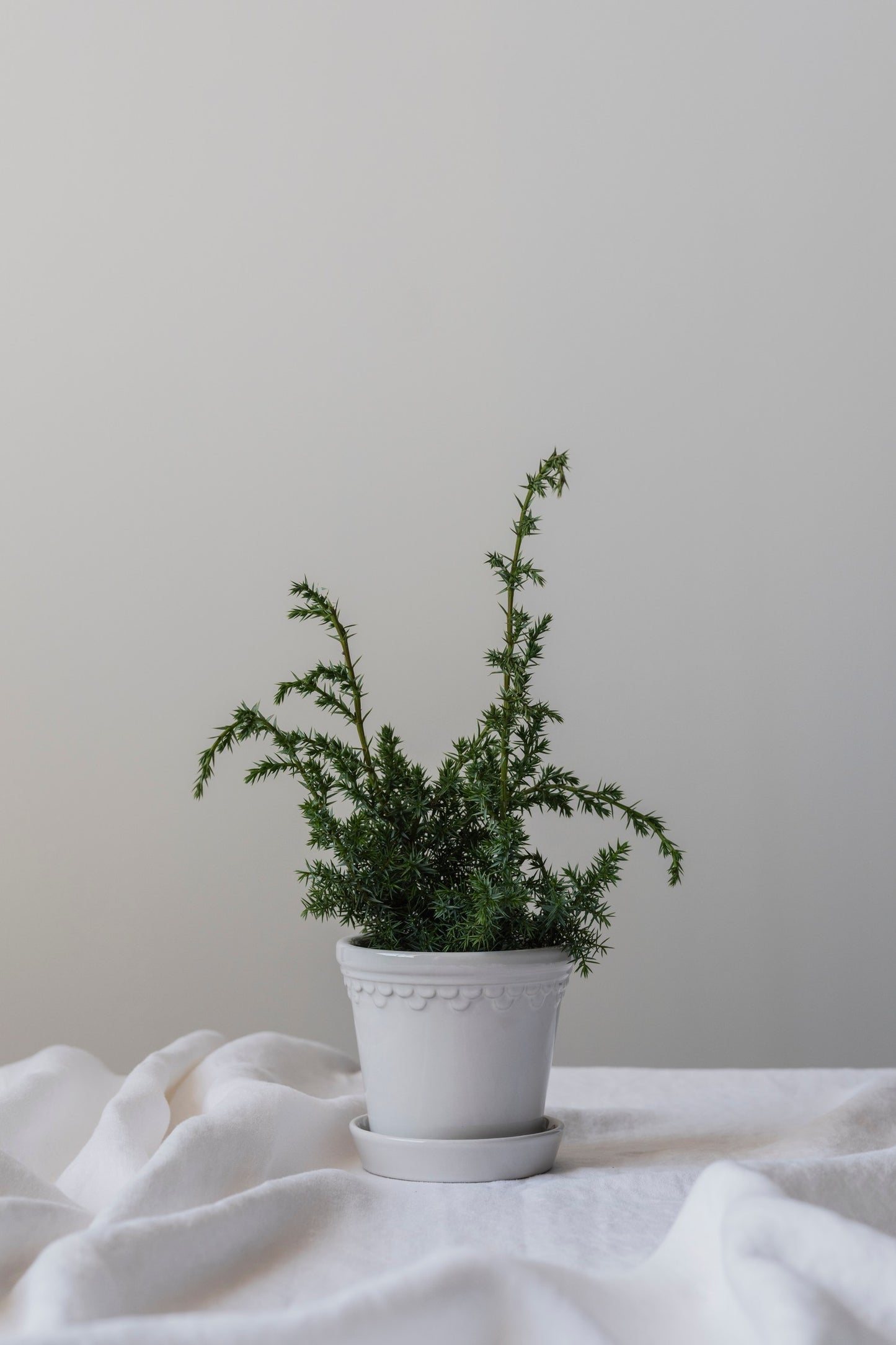 Garden Pot Copenhagen - Glazed Mineral White