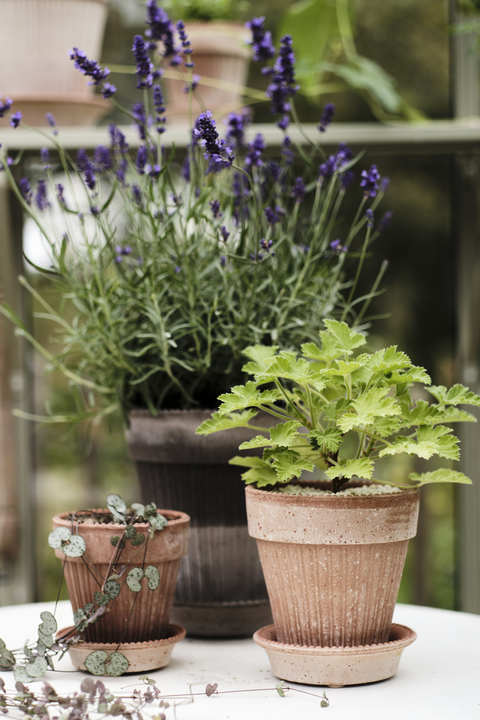 Garden Pot Simona - Grey
