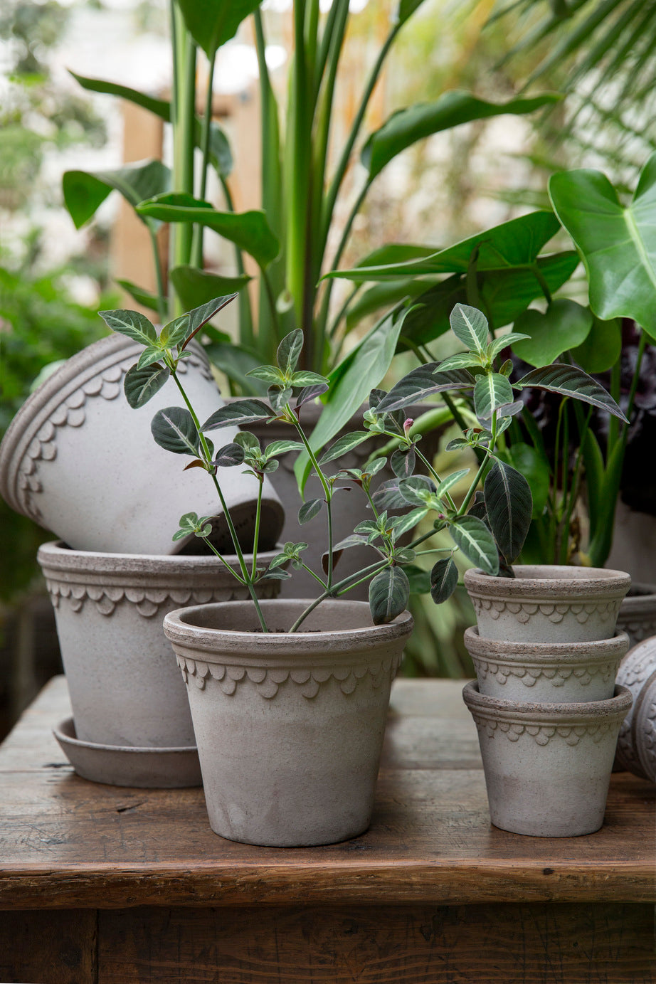 Garden Pot Copenhagen - Grey