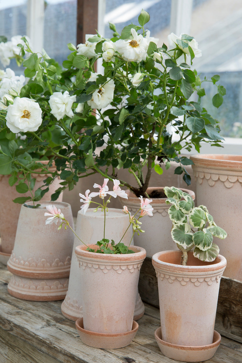 Garden Pot Copenhagen - Rosa