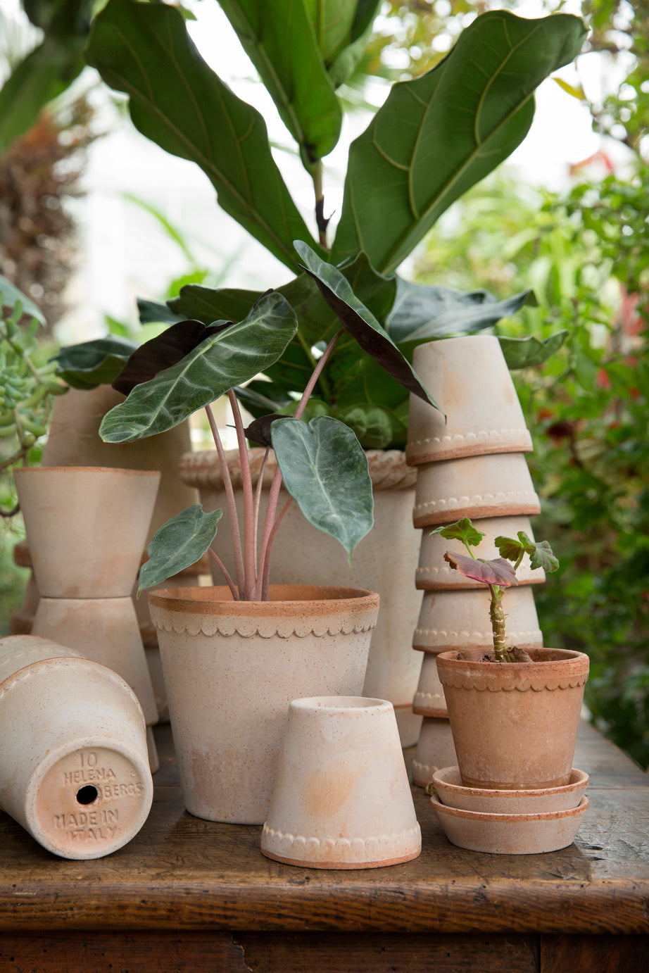 Garden Pot Helena - Rosa