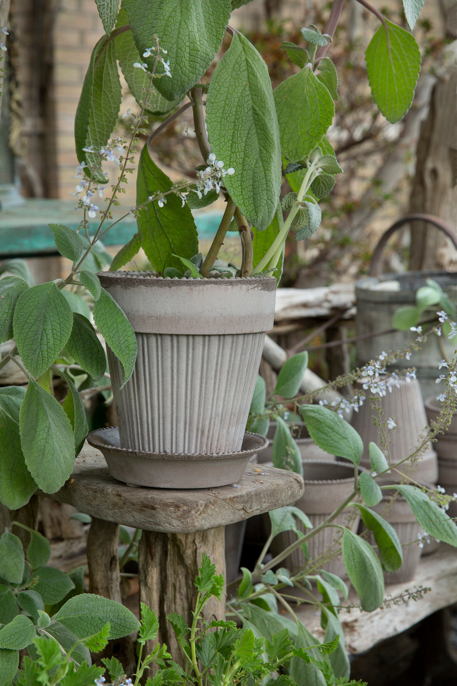 Garden Pot Simona - Grey