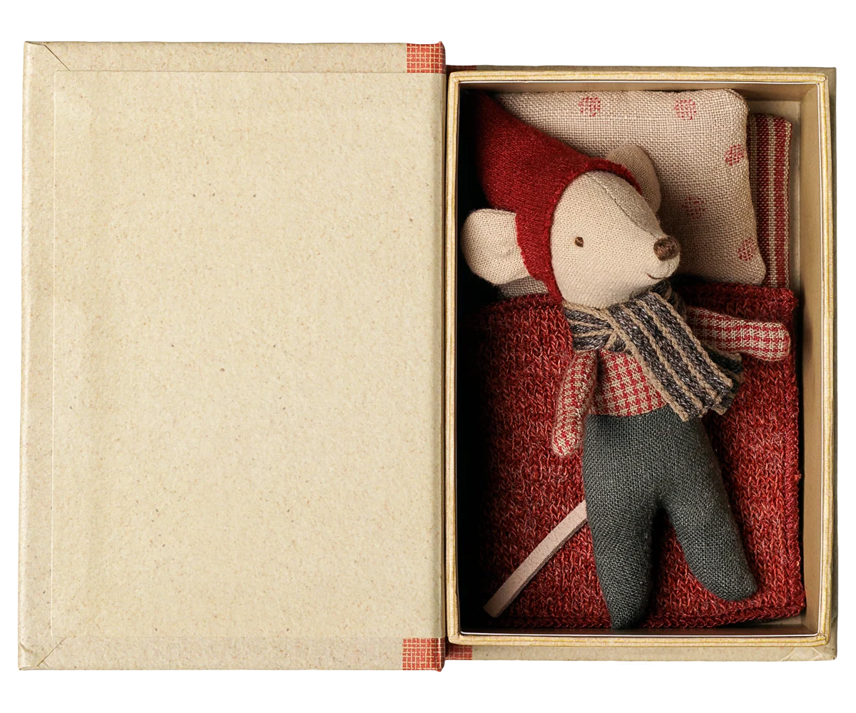 Baby Mouse in Christmas Book