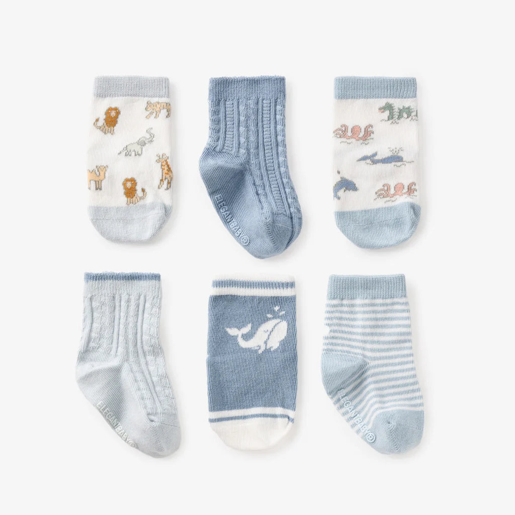 Socks - World Explorer (6 pack)