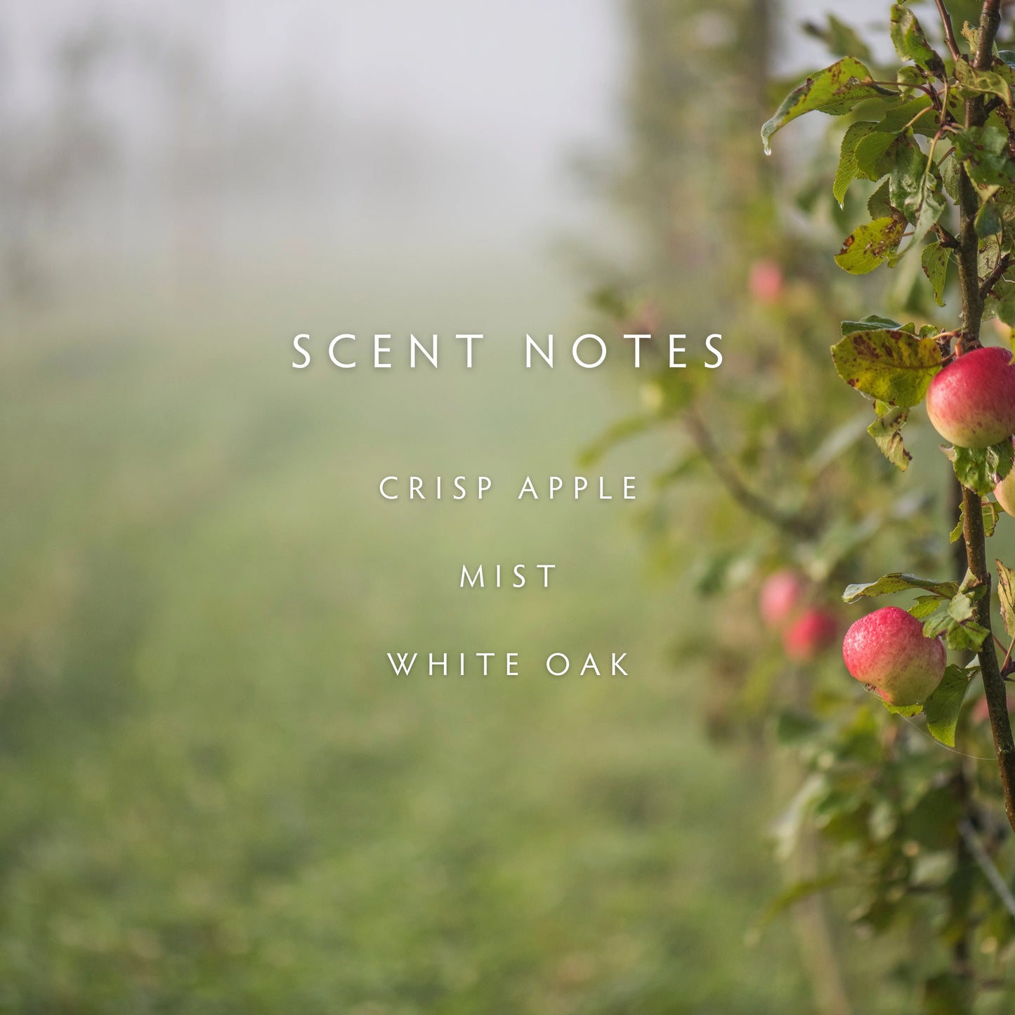 Candle - Fall Fog