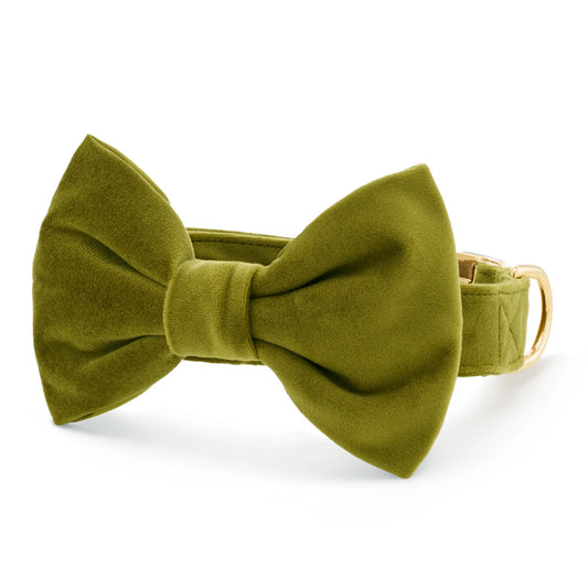 Olive Velvet - Bow Tie